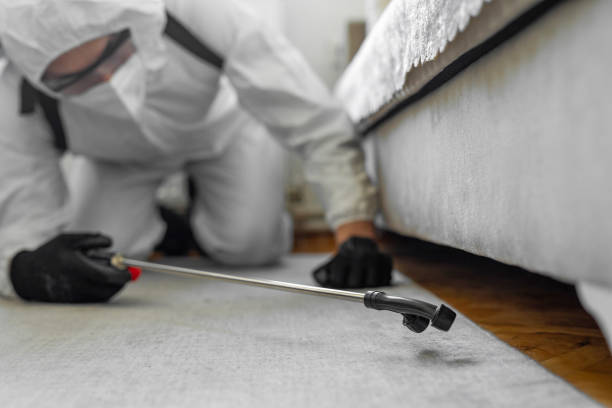 Professional Pest Control technician working in Lantana, TX