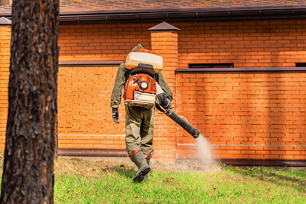 Trusted Cockroach Control service in Lantana, TX - Nex Pest Control